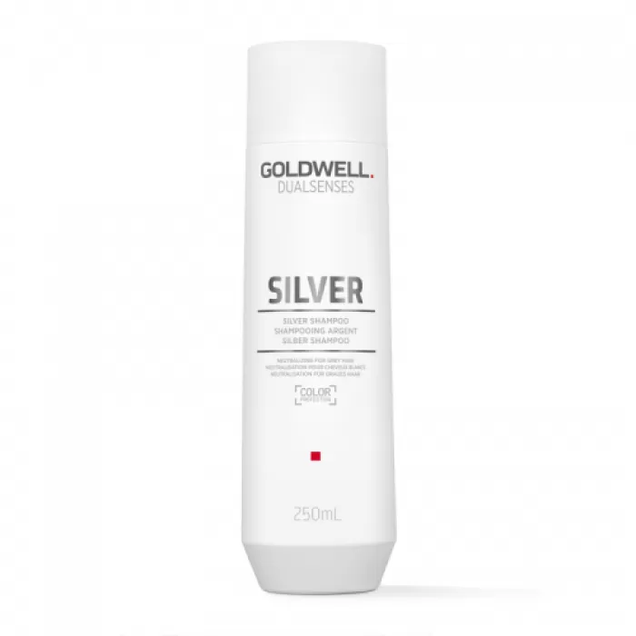 202914 Goldwell Dualsenses Silver Shampoo 300ml